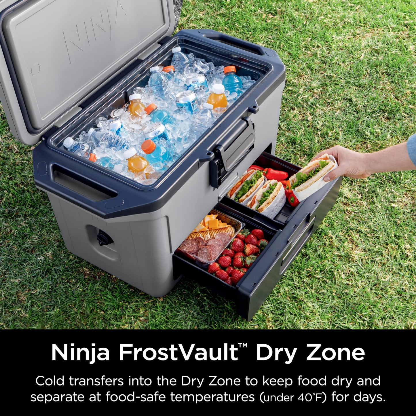 Ninja FB151GY FrostVault 50qt Hard Cooler with Dry Zone, Integrated Fridge-Temp Dry Storage Drawer